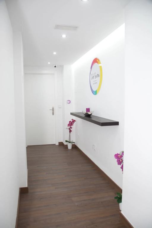 Color Suites Alicante - Général