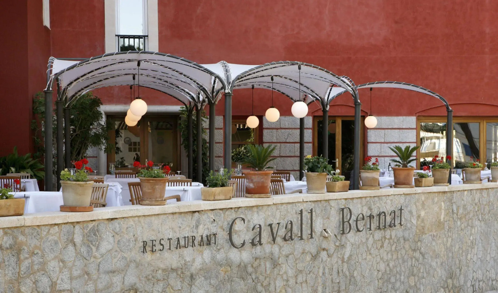 Hotel Cala Sant Vicenç - Adults Only + 16 - Général