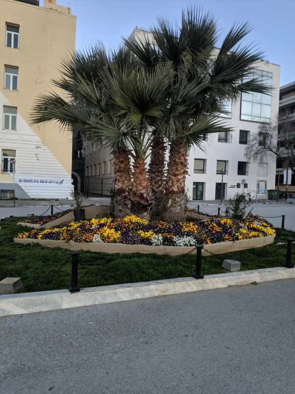 Hotel photo 33