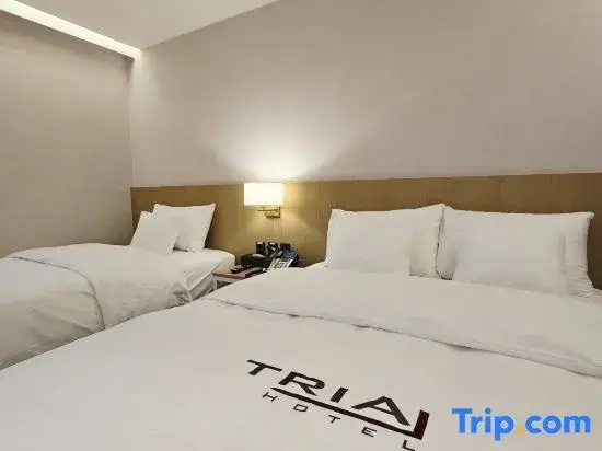 Premier Double room (twin beds)