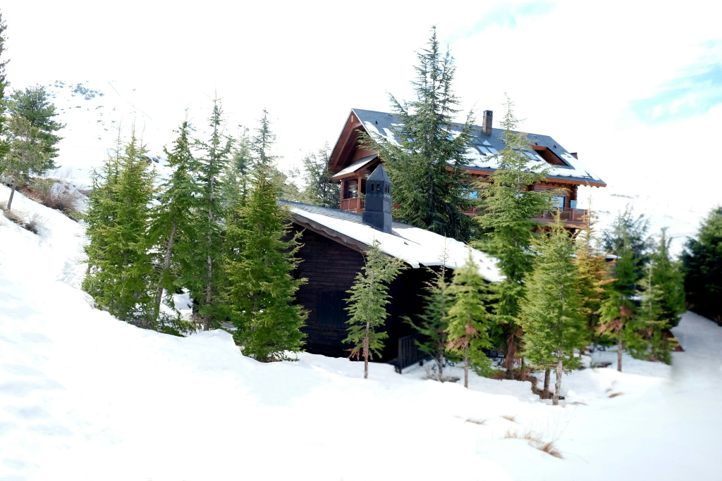 El Lodge Ski and Spa - Général