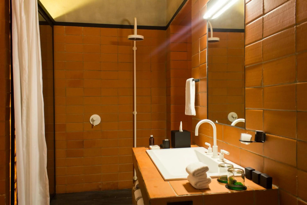 DOWNTOWN MEXICO HOTEL by null