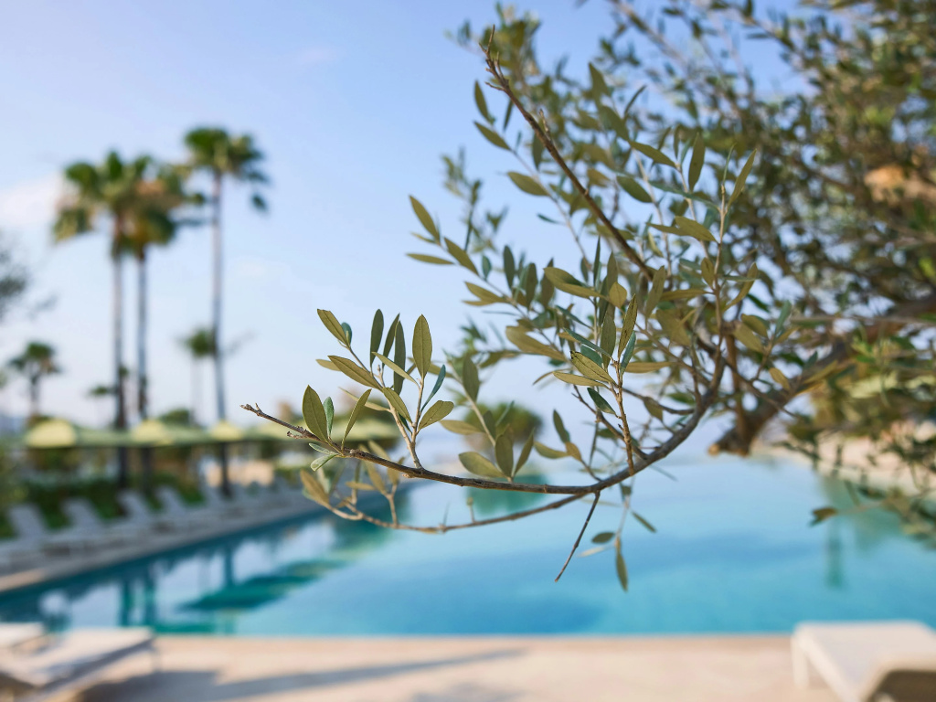 Grecotel Filoxenia - Général
