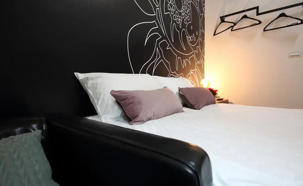 Standard Double room (full double bed)