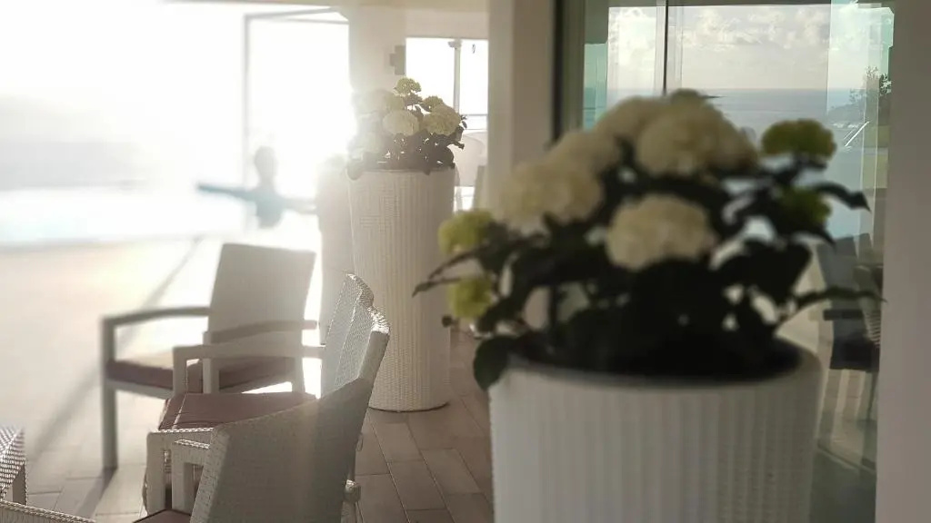 White Club Residence - фото 20