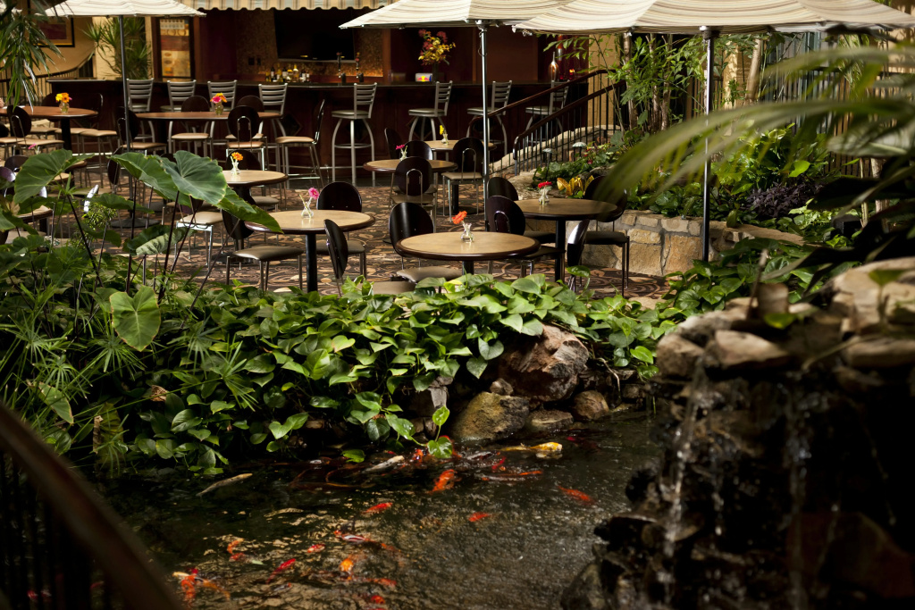 Hotel photo 19