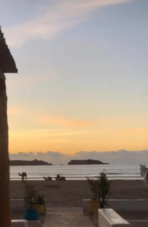 Magnifique appartement avec terrasse prive vue mer