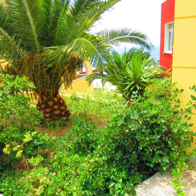 Hotel photo 38
