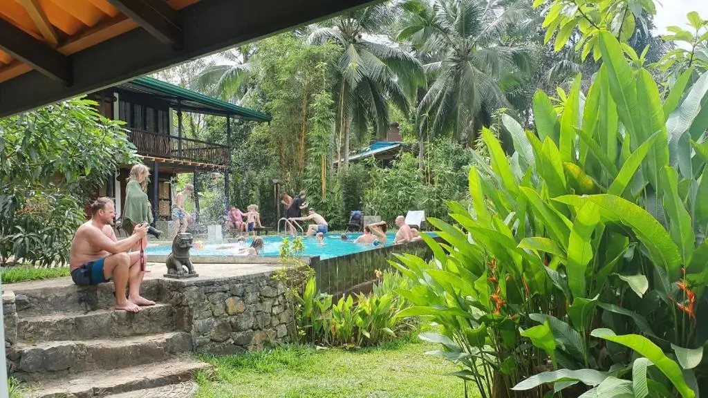 Sinharaja Forest Edge - Chambres
