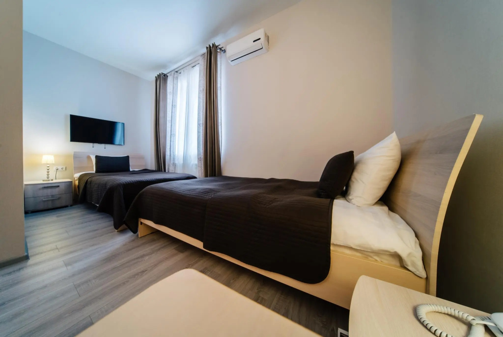 Standard Economy Double room (twin beds)
