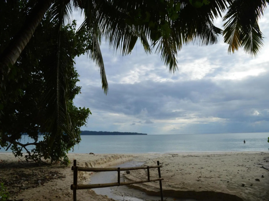 The Wild Orchid Resort by null