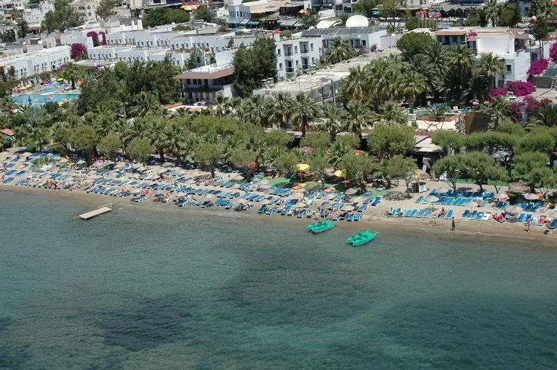 Hotel photo 11