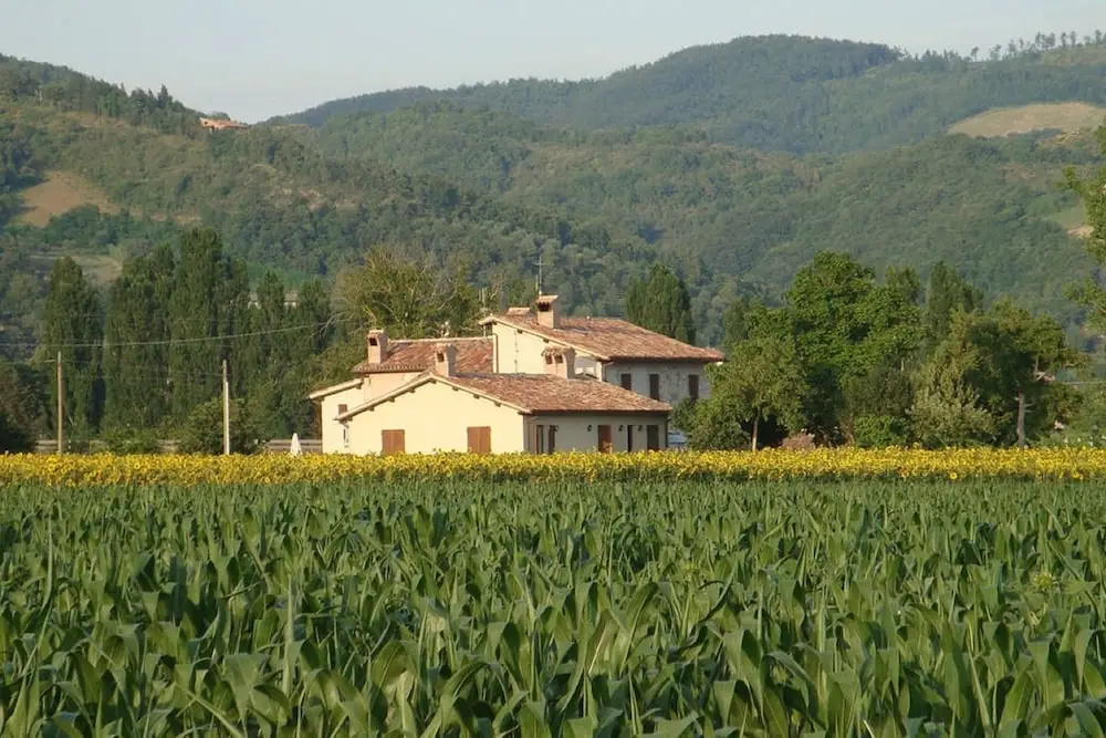 Fontecese Bed and Breakfast - фото 3