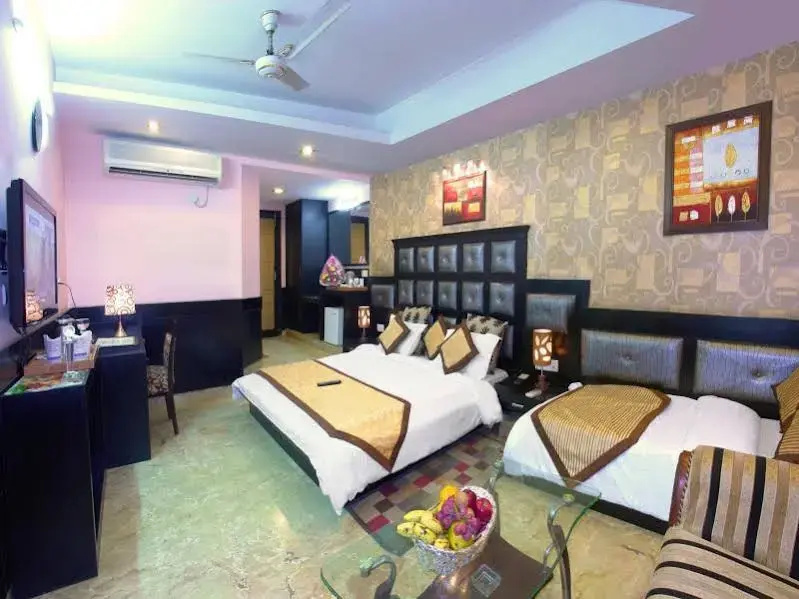 OYO 8505 Hotel Ashu Palace - Général