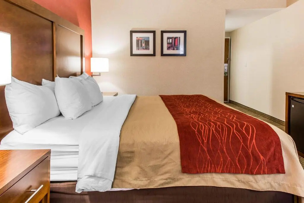 Comfort Inn Boston - Chambres