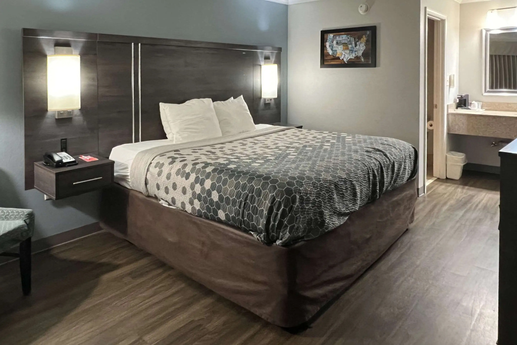 Standard Double room (full double bed)