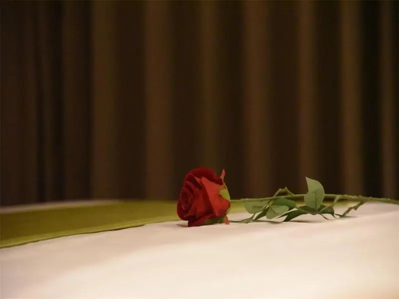 GreenTree Inn Jining Jinxiang Jinmanke Avenue Express Hotel - Chambres