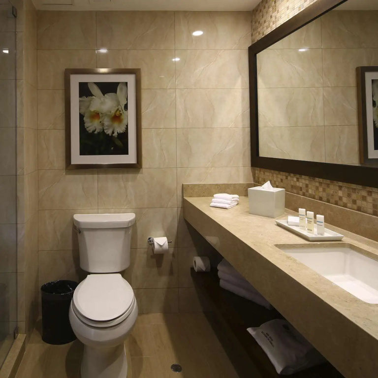 Hilton Garden Inn Cusco - Chambres