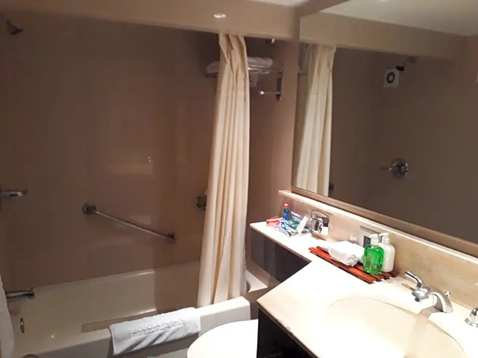 Bogota Plaza Hotel - Chambres