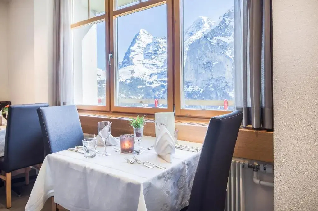 Hotel Edelweiss Superior - Général