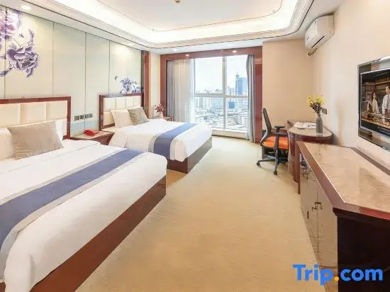 Standard Double room with city view (twin beds)