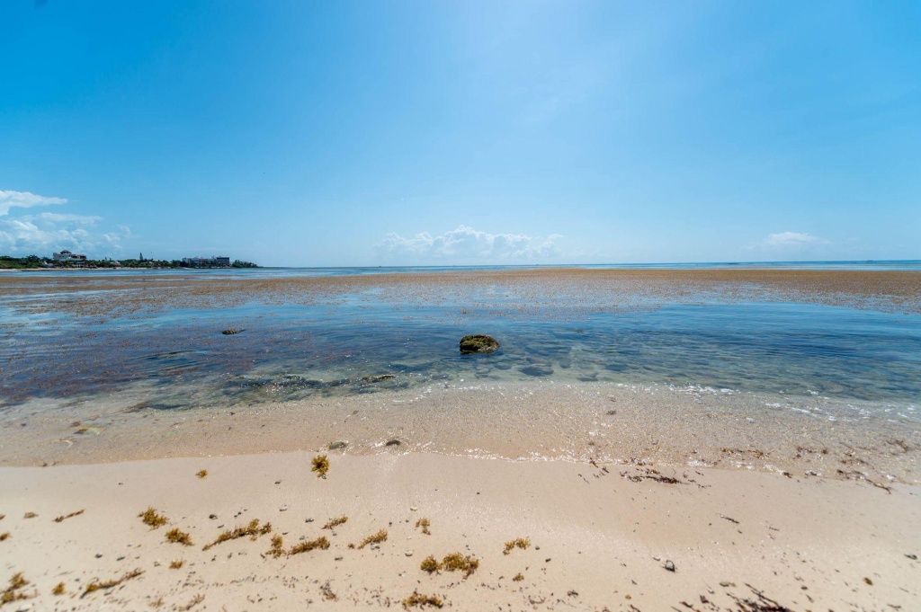 Beach & Waterfront