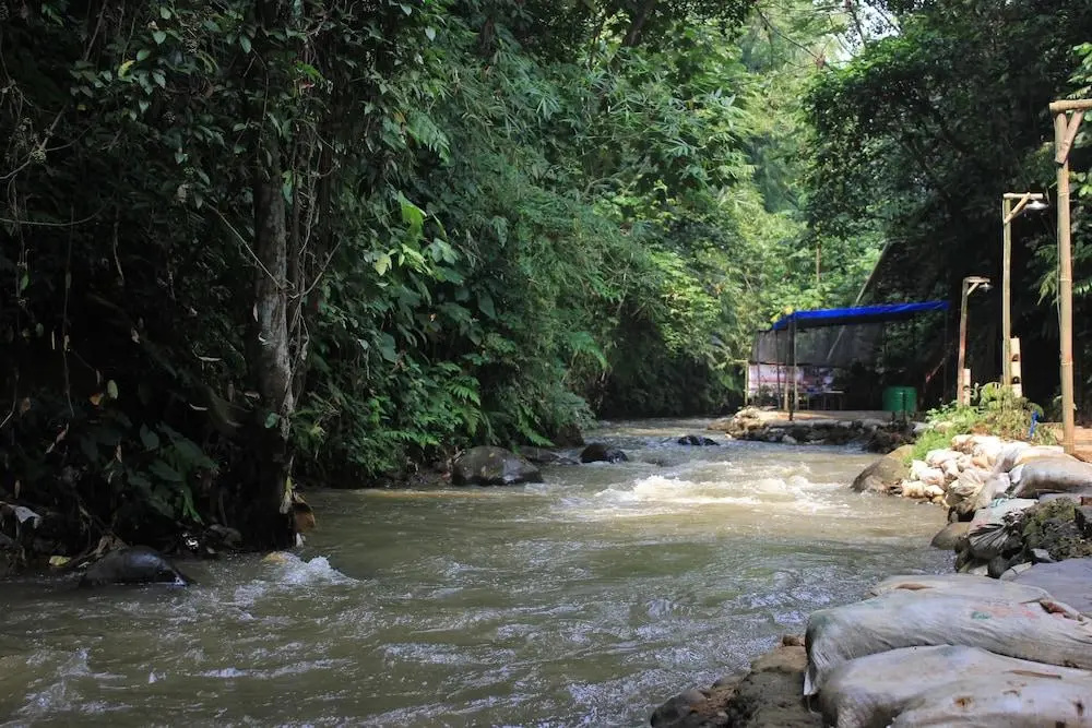 Kyriad Bumi Cikeas Bogor - Général
