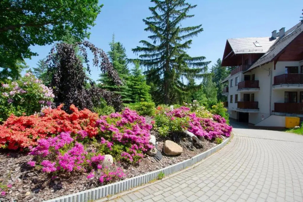 Apartament Polana-Karpacz