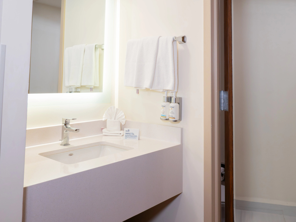 Holiday Inn Express Tecnológico Monterrey by IHG - Général