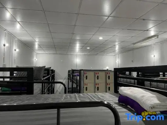 Bed in Dorm