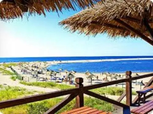 Beach & Waterfront