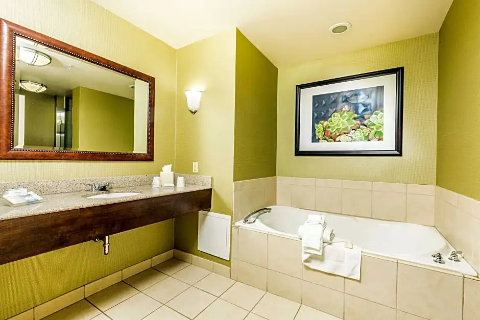Hilton Garden Inn St. George - Chambres
