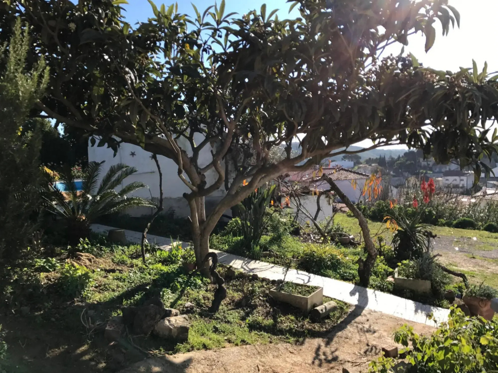 Porto Monte - фото 18