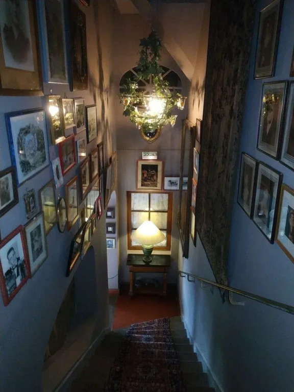 Image 15