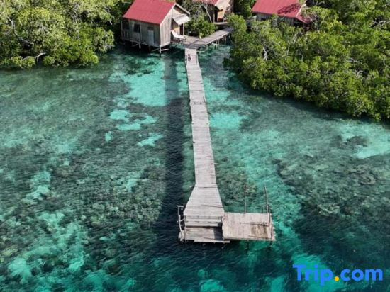 Cozzy Raja Ampat Blue Sea