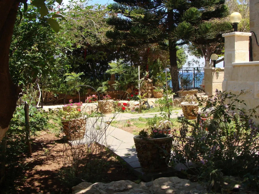 Tamer guest house