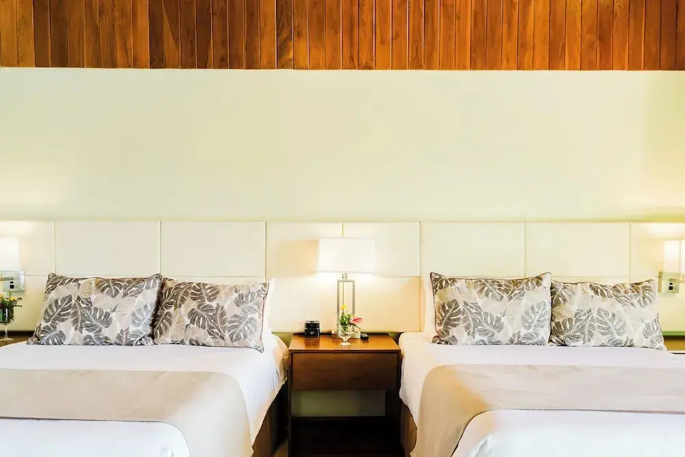 Ficus Sunset Suites - Chambres