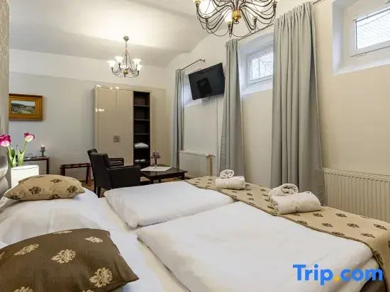 Wellness & Spa hotel Villa Regenhart - Chambres