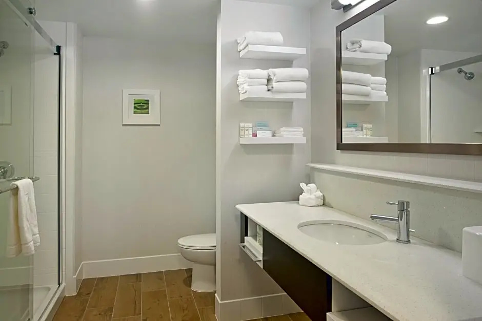 Hampton Inn & Suites Minneapolis / Downtown - Chambres