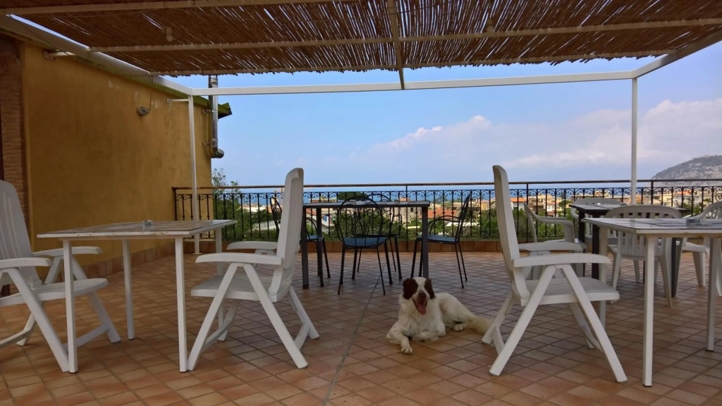 Hotel photo 30
