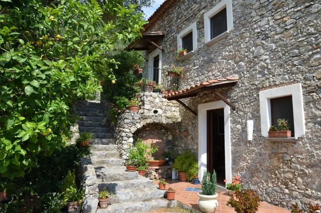 Agrestis Domus - фото 9