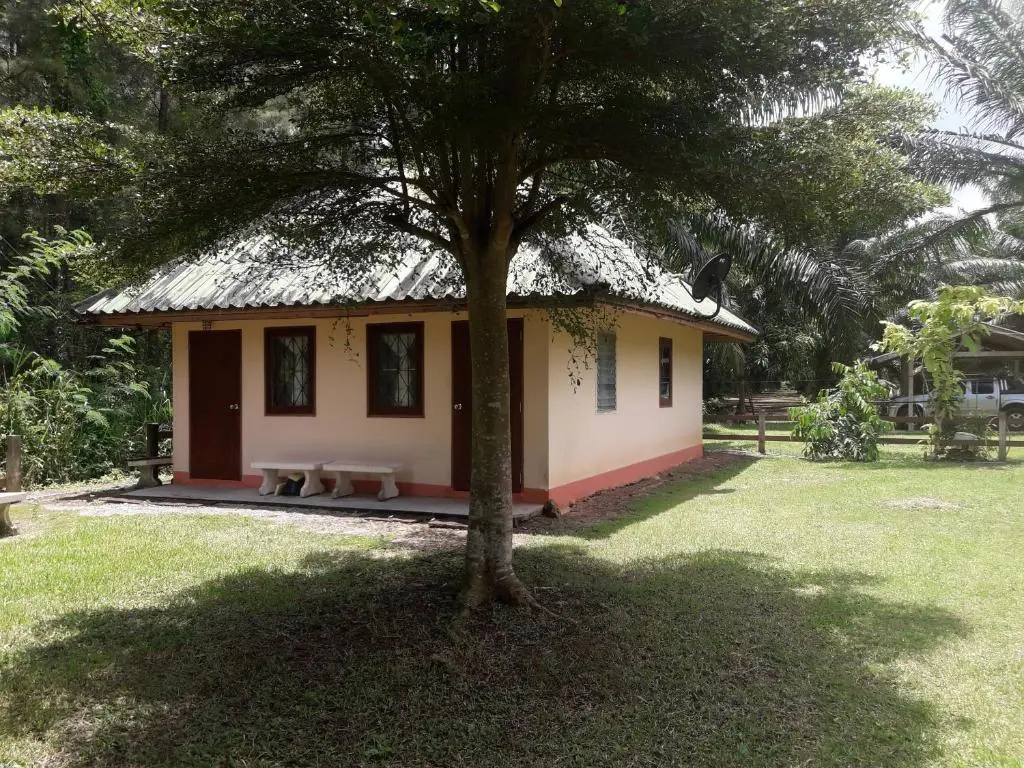 Bungalow with garden view