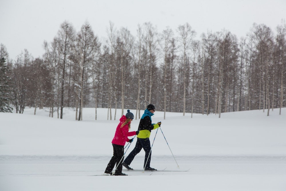 Hinode Hills Niseko Village 사진 39
