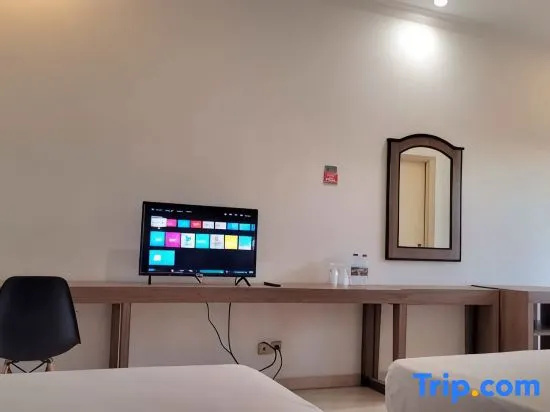 Superior Double room (twin beds)