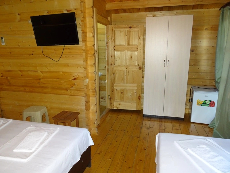 Никопсия - фото 2