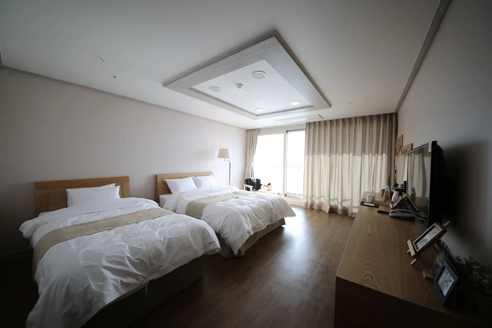 Standard Double room with city view (twin beds)