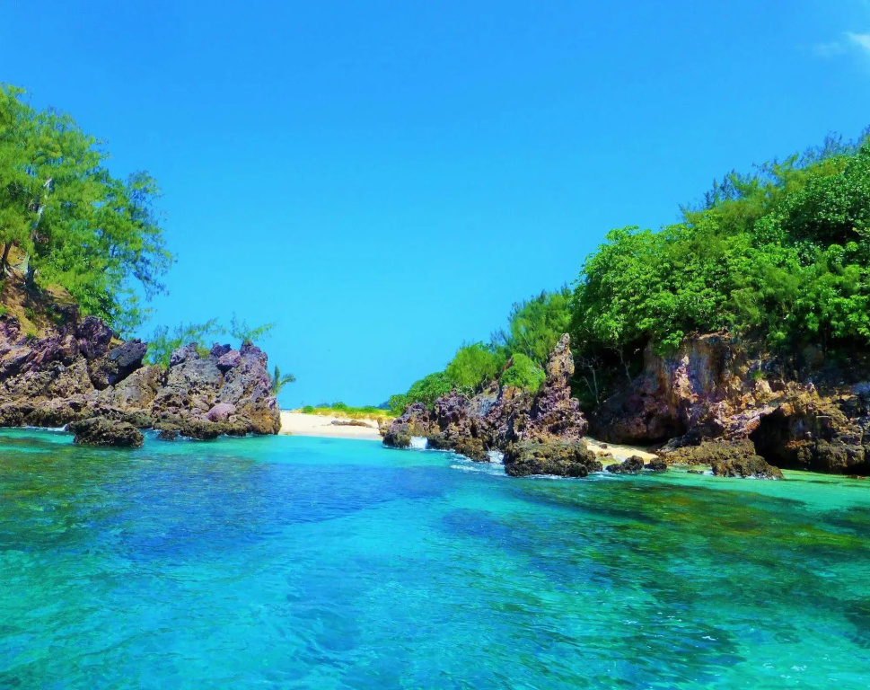 Mai Dive Astrolabe Reef Resort
