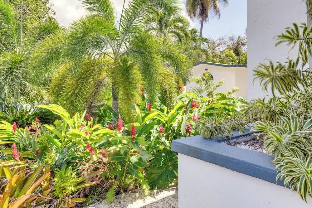 Hillside Vieques Casita w/ Pool & Hot Tub Access!