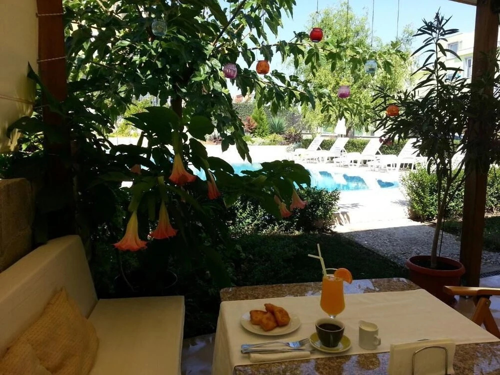 Hotel photo 12