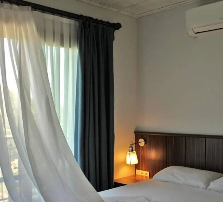 Standard Double room with mountain view (full double bed)
